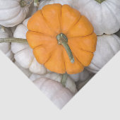 Ghost Pumpkins met een gulzige oranje Tissuepapier (Detail)