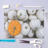 Ghost Pumpkins met een gulzige oranje Tissuepapier (Craft)