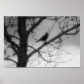 Ghost Raven Poster (Voorkant)