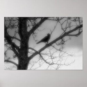 Ghost Raven Poster
