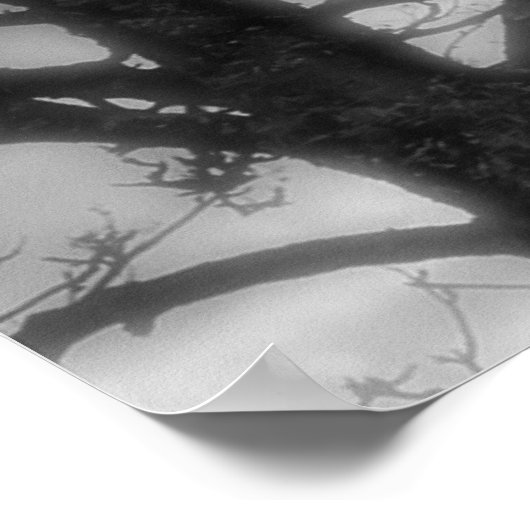 Ghost Raven Poster (Hoek)