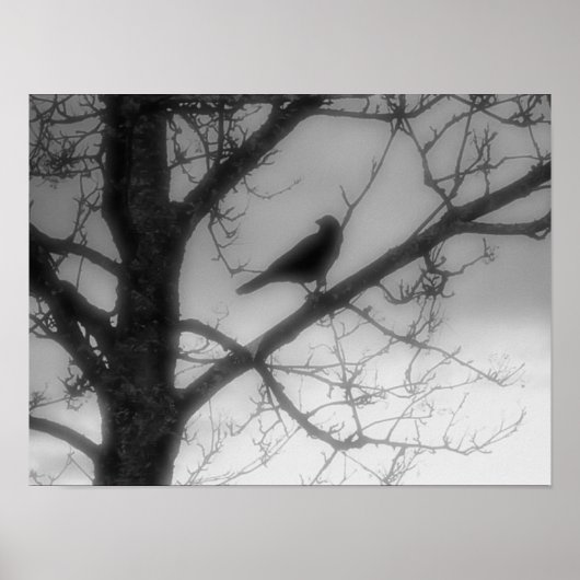 Ghost Raven Poster (Voorkant)