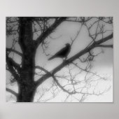 Ghost Raven Poster (Voorkant)