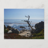 Ghost-structuur - Schilderachtig Briefkaart met 17 (Voorkant)