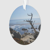 Ghost-structuur - Schilderachtig Ornament met 17 t (voorkant)