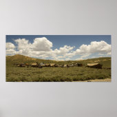 Ghost Town of Bodie, CA Poster (Voorkant)