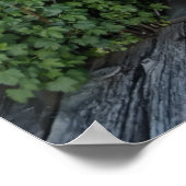 Ghost Town Outhouse - Montana Poster (Hoek)