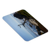 Ghost Tree - Schilderachtig 17-tapedrive fotomagne Magneet (Rechterzijde)