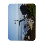 Ghost Tree - Schilderachtig 17-tapedrive fotomagne Magneet (Verticaal)