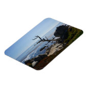 Ghost Tree - Schilderachtig 17-tapedrive fotomagne Magneet (Linkerzijde)