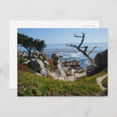 Ghost Tree - Schilderachtig 17-tapestation #2 Brie Briefkaart (Voorkant / Achterkant)