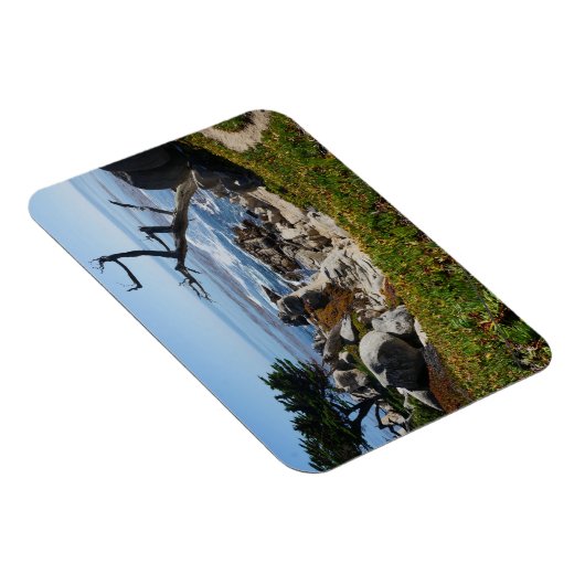 Ghost Tree - Schilderachtig 17-tapestation #2 magn Magneet (Rechterzijde)