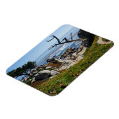 Ghost Tree - Schilderachtig 17-tapestation #2 magn Magneet (Linkerzijde)