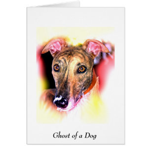Ghost van een hond