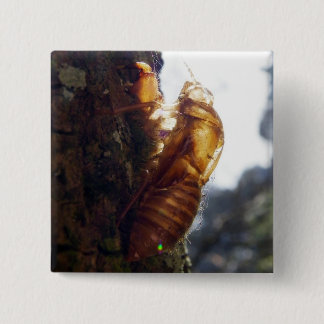 Ghost van een Shell Vierkante Button 5,1 Cm