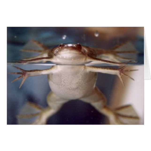 Ghost van vele Legs-kaart (Voorkant Horizontaal)