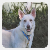 Ghost Vierkante Sticker (Voorkant)