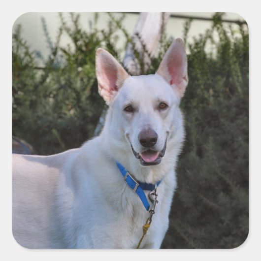 Ghost Vierkante Sticker (Voorkant)