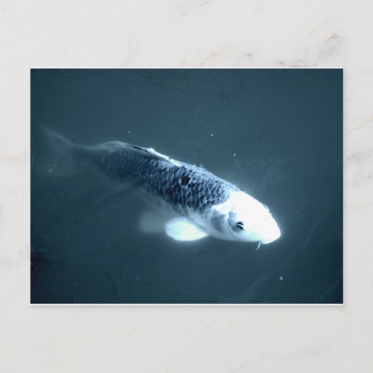 "Ghost" vis Briefkaart (Voorkant)