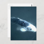 "Ghost" vis Briefkaart (Voorkant / Achterkant)