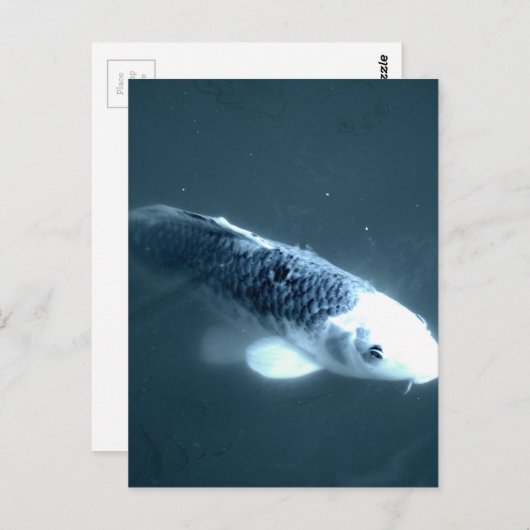 "Ghost" vis Briefkaart (Voorkant / Achterkant)