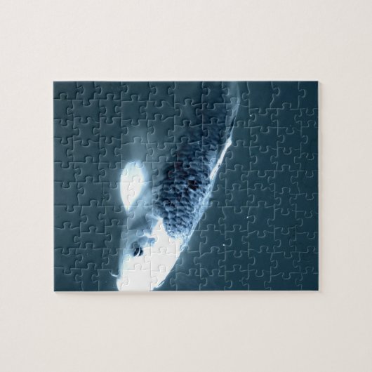 "Ghost" vis Legpuzzel (Horizontaal)