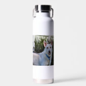 Ghost Waterfles (Voorkant)