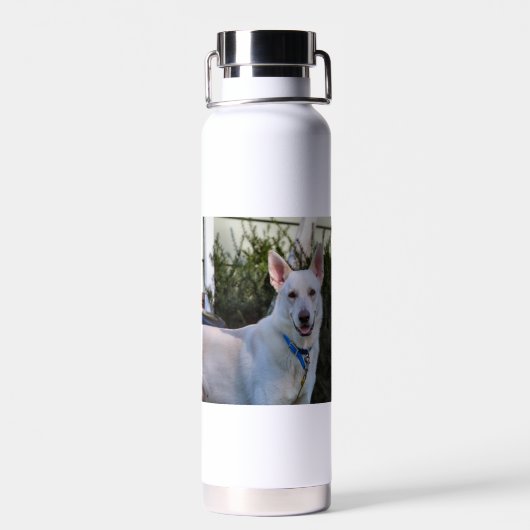 Ghost Waterfles (Achterkant)