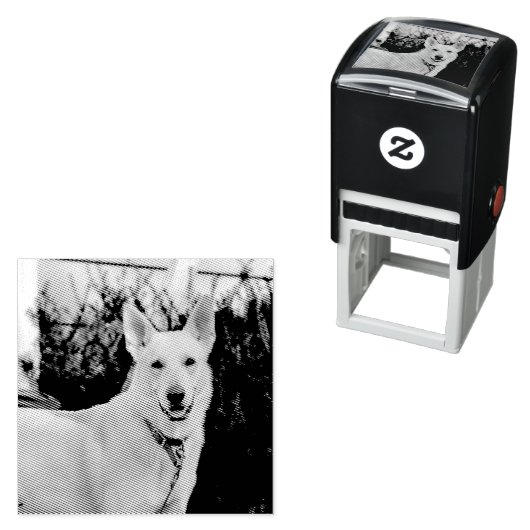 Ghost Zelfinktende Stempel (In situ)