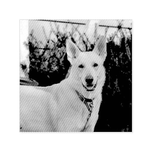 Ghost Zelfinktende Stempel (Design)