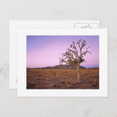 " Ghosted Shape Shifter " Briefkaart (Voorkant / Achterkant)