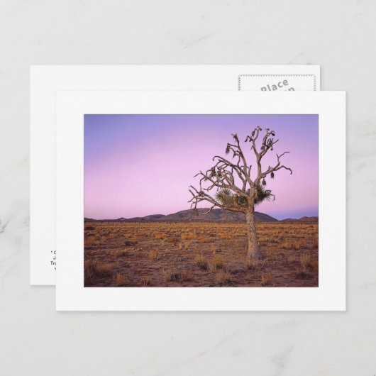 " Ghosted Shape Shifter " Briefkaart (Voorkant / Achterkant)