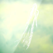 Ghosted Woman Raamsticker (Vel 3)