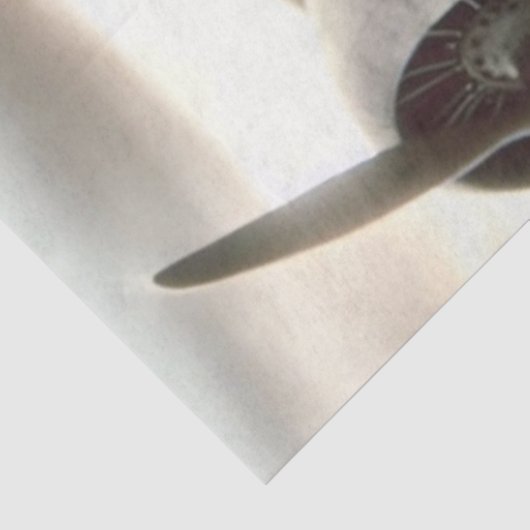 Ghostly Aviator bij zonsondergang -  ontkoppeling Tissuepapier (Detail)