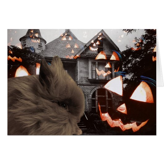 Ghosts, geelten en Bunnies (Voorkant Horizontaal)