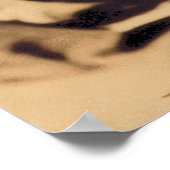 Ghoulardi (W/Skull-1) Matte Poster (Hoek)