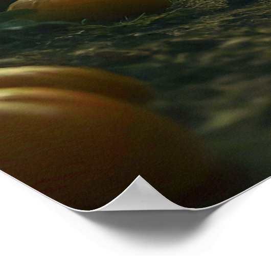 Ghoulish Figure in Moonlight Poster (Hoek)