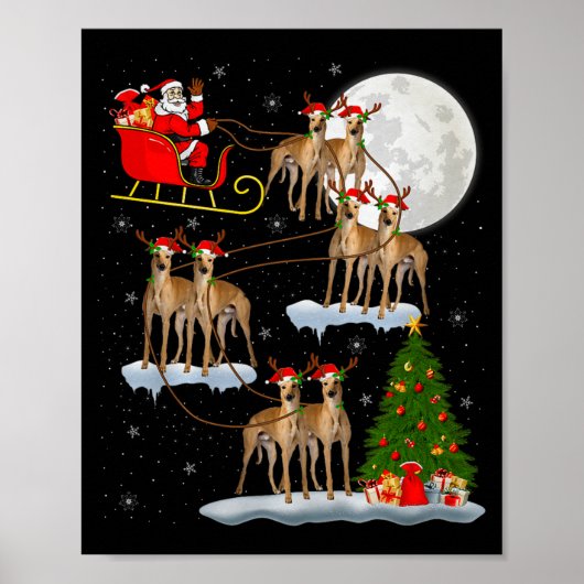 Ghound Dog Santa Sleigh Flying Funny Magical Chris Poster (Voorkant)