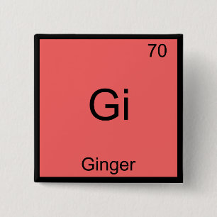 Gi - Gember Grappig Chemie Element Symbool T-Shirt Vierkante Button 5,1 Cm