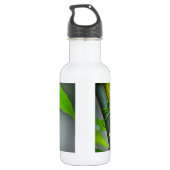 Giant 3 Horned Chameleon Waterfles (Achterkant)