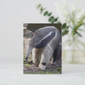 Giant Anteater Briefkaart (Staand voorkant)