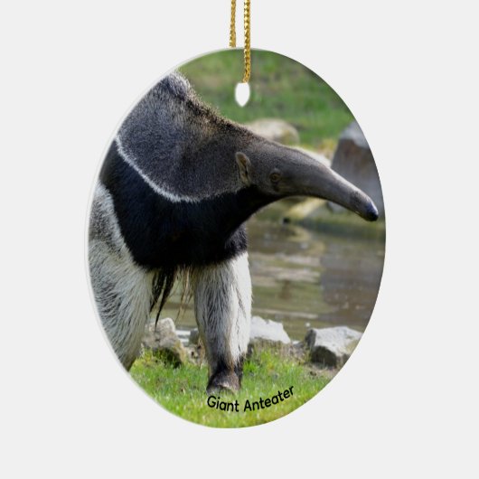 Giant Anteater die op gras loopt Keramisch Ornament (Rechts)