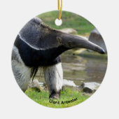 Giant Anteater die op gras loopt Keramisch Ornament (Voorkant)