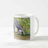 Giant Anteater die op gras loopt Koffiemok (Voorkant rechts)