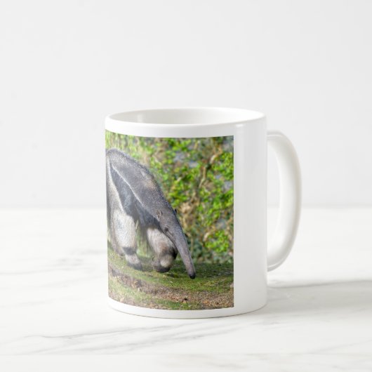 Giant Anteater die op gras loopt Koffiemok (Voorkant rechts)