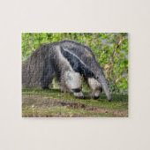 Giant Anteater die op gras loopt Legpuzzel (Horizontaal)