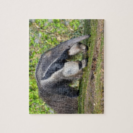 Giant Anteater die op gras loopt Legpuzzel (Verticaal)