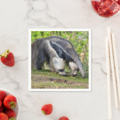 Giant Anteater die op gras loopt Servet (Insitu)