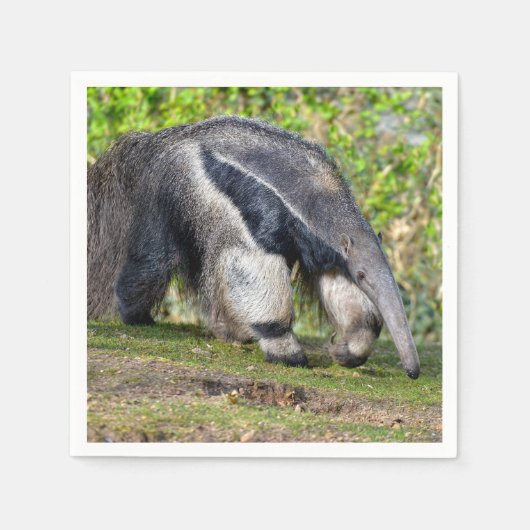 Giant Anteater die op gras loopt Servet (Voorkant)