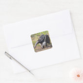 Giant Anteater die op gras loopt Vierkante Sticker (Envelop)